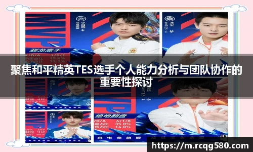 jn体育官方